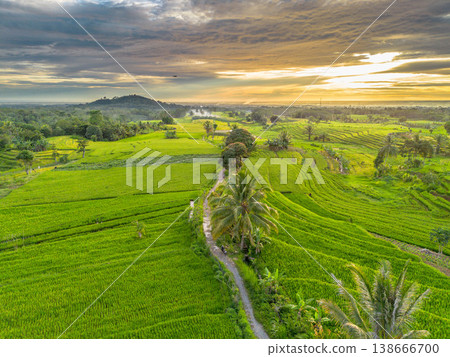 Beautiful morning view in Indonesia, panoramic landscape of rice fields with mountain ranges and clear sky Beautiful morning view in Indonesia, panoramic landscape of rice fields with mountain ranges and clear sky 138666700