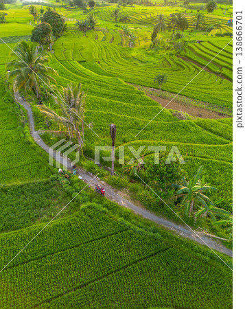 Beautiful morning view in Indonesia, panoramic landscape of rice fields with mountain ranges and clear sky Beautiful morning view in Indonesia, panoramic landscape of rice fields with mountain ranges and clear sky 138666701