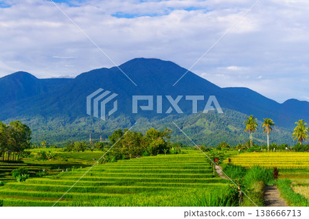 Beautiful morning view in Indonesia, panoramic landscape of rice fields with mountain ranges and clear sky Beautiful morning view in Indonesia, panoramic landscape of rice fields with mountain ranges and clear sky 138666713