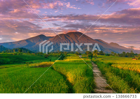 Beautiful morning view in Indonesia, panoramic landscape of rice fields with mountain ranges and clear sky Beautiful morning view in Indonesia, panoramic landscape of rice fields with mountain ranges and clear sky 138666733