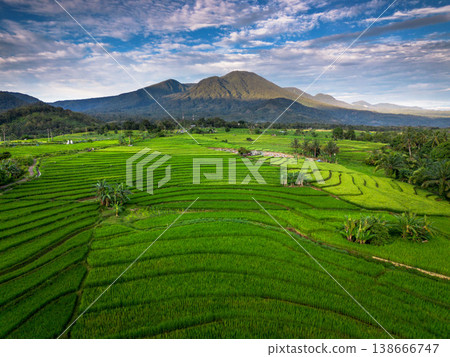 Beautiful morning view in Indonesia, panoramic landscape of rice fields with mountain ranges and clear sky Beautiful morning view in Indonesia, panoramic landscape of rice fields with mountain ranges and clear sky 138666747