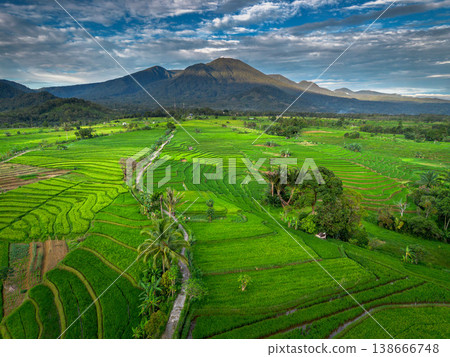 Beautiful morning view in Indonesia, panoramic landscape of rice fields with mountain ranges and clear sky Beautiful morning view in Indonesia, panoramic landscape of rice fields with mountain ranges and clear sky 138666748