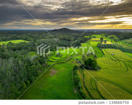 Beautiful morning view in Indonesia, panoramic landscape of rice fields with mountain ranges and clear sky 138666750