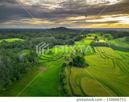 Beautiful morning view in Indonesia, panoramic landscape of rice fields with mountain ranges and clear sky 138666751
