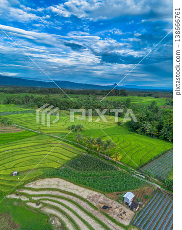 Beautiful morning view in Indonesia, panoramic landscape of rice fields with mountain ranges and clear sky Beautiful morning view in Indonesia, panoramic landscape of rice fields with mountain ranges and clear sky 138666761
