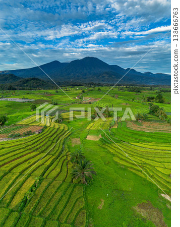 Beautiful morning view in Indonesia, panoramic landscape of rice fields with mountain ranges and clear sky Beautiful morning view in Indonesia, panoramic landscape of rice fields with mountain ranges and clear sky 138666763