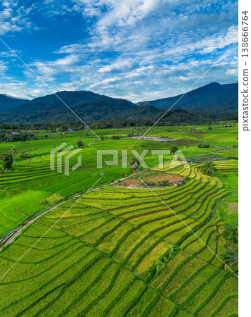 Beautiful morning view in Indonesia, panoramic landscape of rice fields with mountain ranges and clear sky 138666764