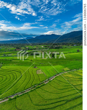 Beautiful morning view in Indonesia, panoramic landscape of rice fields with mountain ranges and clear sky 138666765