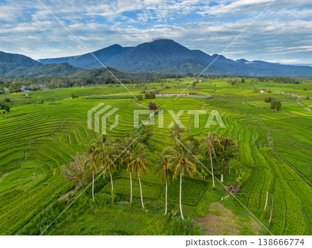 Beautiful morning view in Indonesia, panoramic landscape of rice fields with mountain ranges and clear sky Beautiful morning view in Indonesia, panoramic landscape of rice fields with mountain ranges and clear sky 138666774