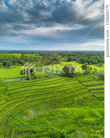 Beautiful morning view in Indonesia, panoramic landscape of rice fields with mountain ranges and clear sky Beautiful morning view in Indonesia, panoramic landscape of rice fields with mountain ranges and clear sky 138666775