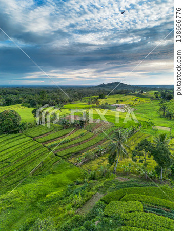 Beautiful morning view in Indonesia, panoramic landscape of rice fields with mountain ranges and clear sky Beautiful morning view in Indonesia, panoramic landscape of rice fields with mountain ranges and clear sky 138666776