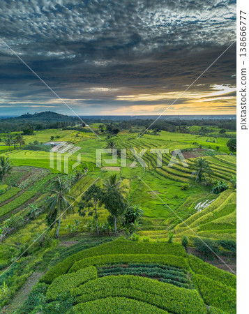 Beautiful morning view in Indonesia, panoramic landscape of rice fields with mountain ranges and clear sky 138666777