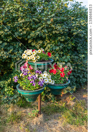 Flower planter with colorful blooms in tiered arrangement outdoors Flower planter with colorful blooms in tiered arrangement outdoors 138666853