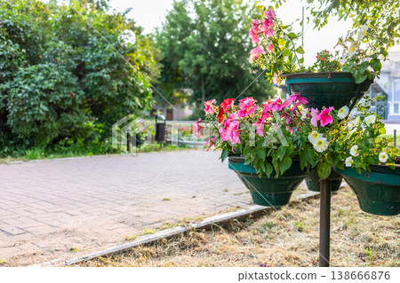 Flower pots with colorful blooms beside a paved walkway in a garden copy space for text Flower pots with colorful blooms beside a paved walkway in a garden copy space for text 138666876