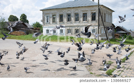 Flock of pigeons flying near old building in rural landscape Flock of pigeons flying near old building in rural landscape 138666927