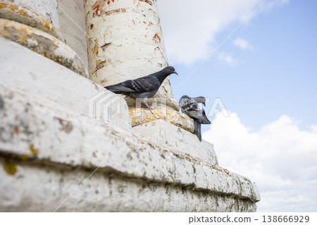 Two pigeons perched on weathered stone column against blue sky 138666929