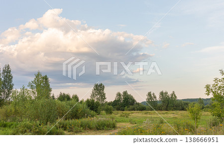 Lush green landscape with trees and clouds under a blue sky Lush green landscape with trees and clouds under a blue sky 138666951