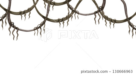 Hand drawn watercolor border of tangled tropical jungle vines and hanging liana branches. Realistic forest element with wood texture, perfect for nature themed invitations, headers, and rustic decor. Hand drawn watercolor border of tangled tropical jungle vines and hanging liana branches. Realistic forest element with wood texture, perfect for nature themed invitations, headers, and rustic decor. 138666963