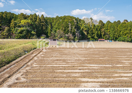 Terraced rice fields in Ogi, Otsu City, Shiga Prefecture 138666976