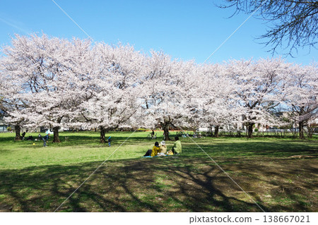 Musashi Kokubunji Temple's Seven-Storied Pagoda Site Square 2026 138667021