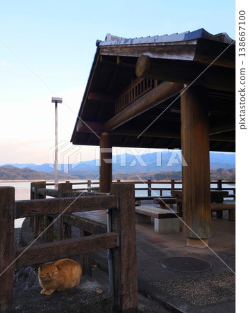 Cats of Mannō Pond, Mannō Town, Kagawa Prefecture 2 Cats of Mannō Pond, Mannō Town, Kagawa Prefecture 2 138667100