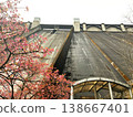 The stark contrast between the impersonal concrete of the massive dam and the delicate pink cherry blossoms in full bloom creates a beautiful and powerful spring scene. 138667401
