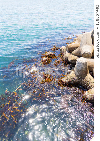 大倉海灘的防波堤和海藻 138667483