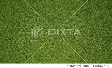 Green grass background, top view background of garden bright grass concept used for making green backdrop. 138667527