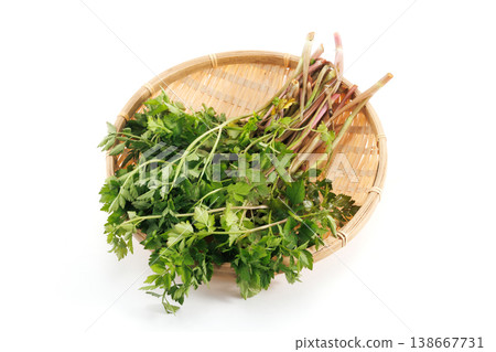 Fresh Japanese parsley served in a basket Fresh Japanese parsley served in a basket 138667731