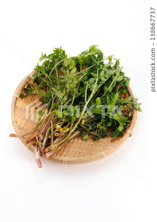 Fresh Japanese parsley served in a basket Fresh Japanese parsley served in a basket 138667737