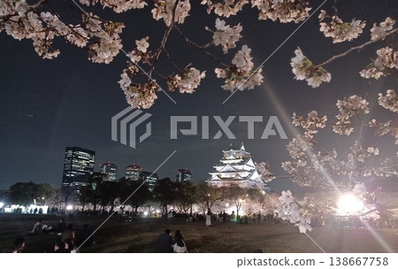 廣場上櫻花盛開，遠處是燈火輝煌的大阪城和大阪商業園區的摩天大樓。 138667758