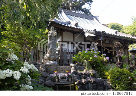 Hydrangeas at Mano-ji Temple, Chiba Prefecture Hydrangeas at Mano-ji Temple, Chiba Prefecture 138667812