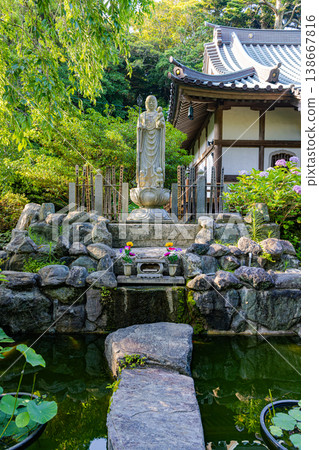 千葉縣真野寺的繡球花 千葉縣真野寺的繡球花 138667816
