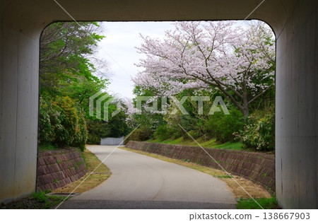 隧道外的景色 隧道外的景色 138667903