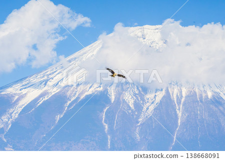 A kite soaring with Mount Fuji in the background. 138668091
