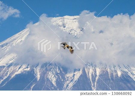 A kite soaring with Mount Fuji in the background. A kite soaring with Mount Fuji in the background. 138668092