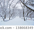 白雪皚皚的公園 138668349