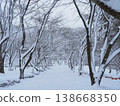 白雪皚皚的公園 138668350