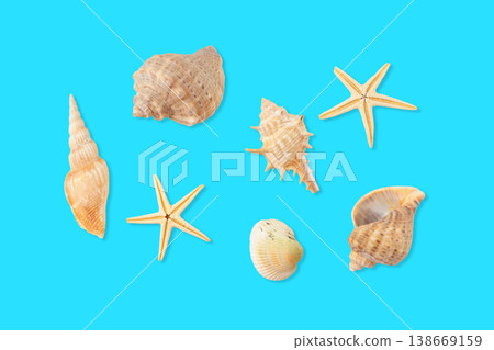 Seashells and starfish arranged on a blue background Seashells and starfish arranged on a blue background 138669159