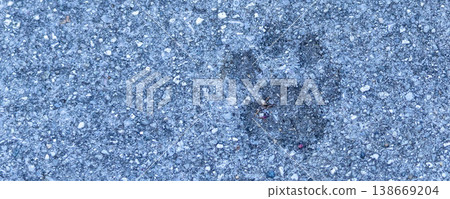 Cat footprints found on concrete in Onomichi City, Hiroshima Prefecture Cat footprints found on concrete in Onomichi City, Hiroshima Prefecture 138669204