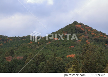 日本山巒間秋葉斑斕,綠意盎然(橫幅) 日本山巒間秋葉斑斕,綠意盎然(橫幅) 138669304
