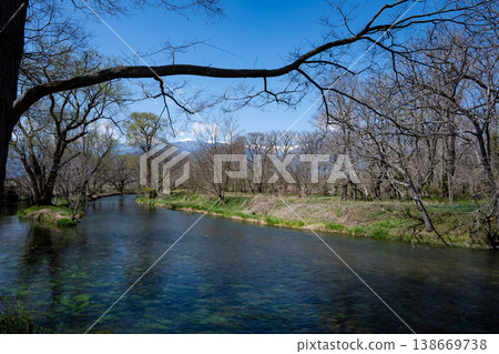 Daio Wasabi Farm Nagano Prefecture Azumino City Daio Wasabi Farm Nagano Prefecture Azumino City 138669738