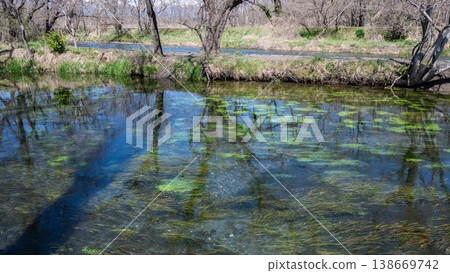 Daio Wasabi Farm Nagano Prefecture Azumino City Daio Wasabi Farm Nagano Prefecture Azumino City 138669742