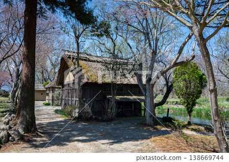 Daio Wasabi Farm長野縣安曇野市 Daio Wasabi Farm長野縣安曇野市 138669744