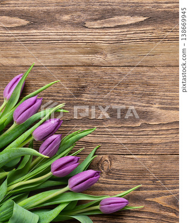 Purple tulips Mothers Day birthday Purple tulips Mothers Day birthday 138669945