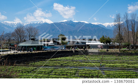Daio Wasabi Farm Nagano Prefecture Azumino City Daio Wasabi Farm Nagano Prefecture Azumino City 138670081