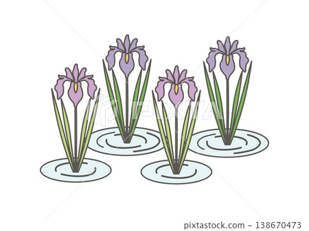Illustration of irises by the water's edge Illustration of irises by the water's edge 138670473