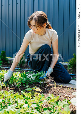 Young woman removes weeds with gardening gloves. Cleaning of the territory. Outdoor spring work. Young woman removes weeds with gardening gloves. Cleaning of the territory. Outdoor spring work. 138670629