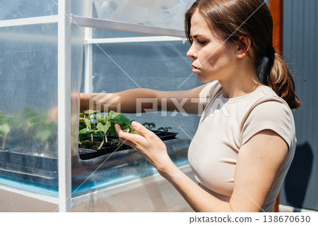 Focused woman carefully examines seedlings growing in trays inside a transparent mini greenhouse, preparing for cultivation. Focused woman carefully examines seedlings growing in trays inside a transparent mini greenhouse, preparing for cultivation. 138670630