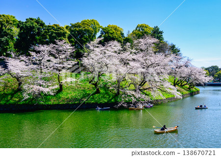 東京千鳥淵划船區：櫻花盛開，2026年 138670721